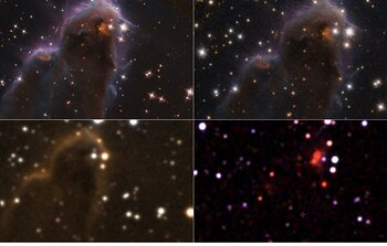Exploring the Interactive 马耳他飞艇开奖记录官方网站 image app