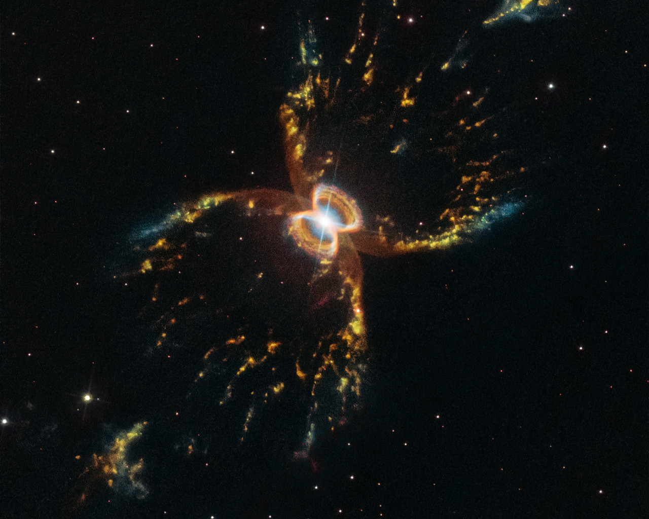 The Crab of the Southern Sky