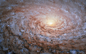 A galactic sunflower