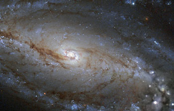 A spiral galaxy’s brights and darks
