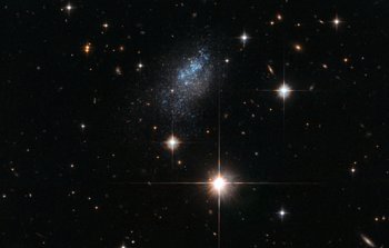 Mapping the nearby Universe