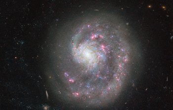Cosmic search for a missing limb