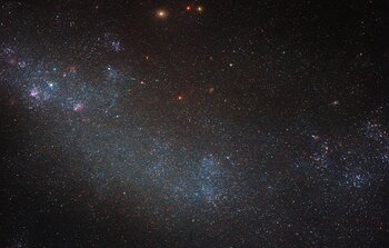 The forest for the trees, the galaxy for the stars